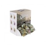 ogeez-krunch-caja-dealer-120-sachets-x-7g