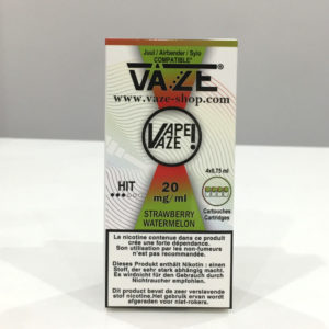 VAZE strawberry watermelon - Cartouche cigarette électroniques à Bordeaux