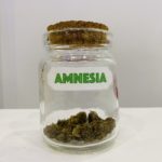 fleurs cbd amnesia