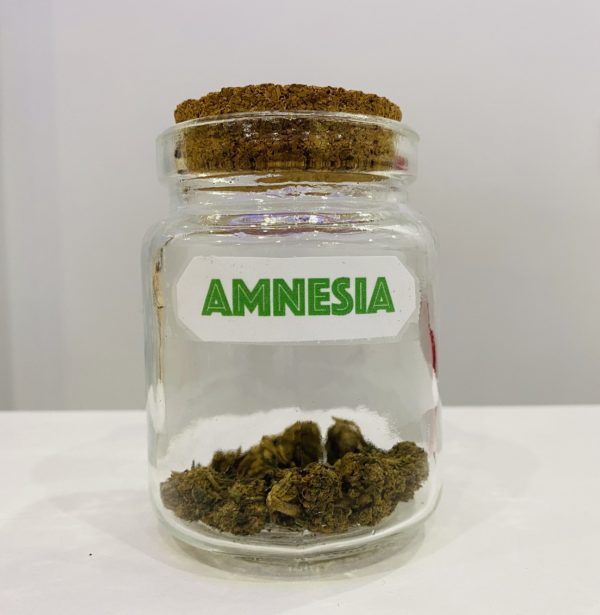 fleurs cbd amnesia