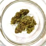fleur cbd northern lights kandy shop