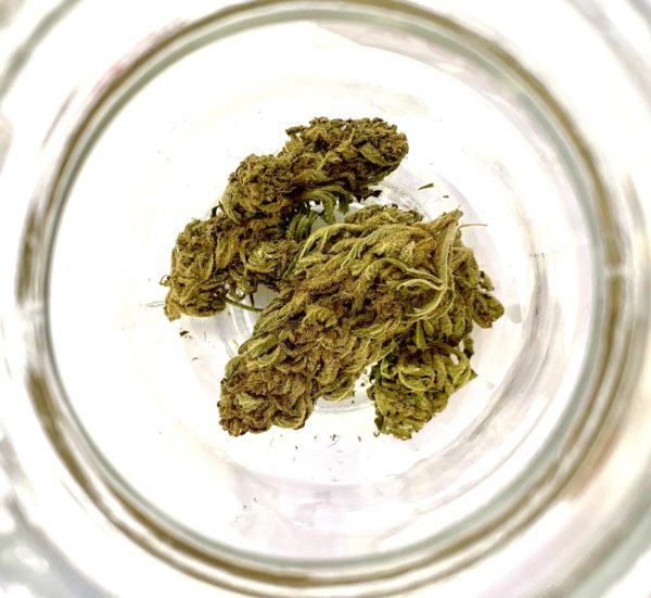 fleur cbd northern lights kandy shop