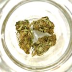 fleur cbd critical cbd kandy shop