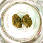 fleur cbd kandy shop