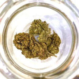 tropical haze cbd kandy shop