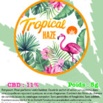 tropical haze cbd kandy shop