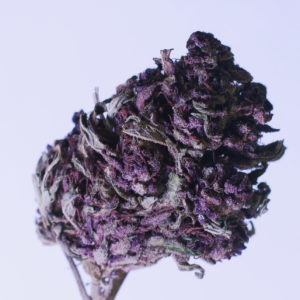 purple haze kandy shop cbd
