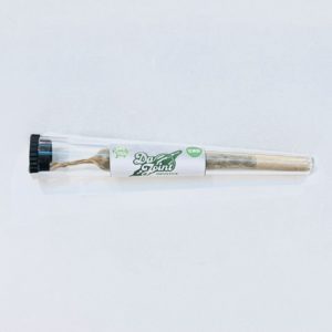 Pre-roll DA JOINT infustick