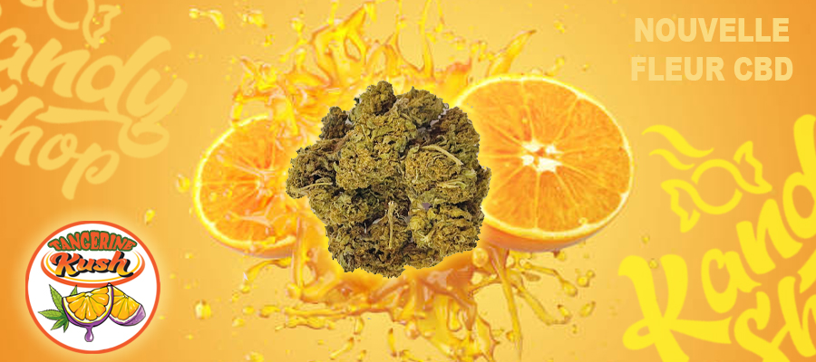 Banniere tangerine kush